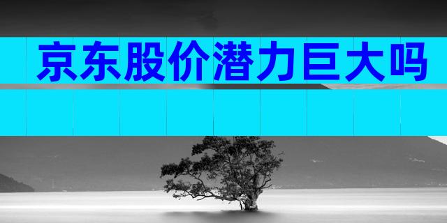 京东股价潜力巨大吗