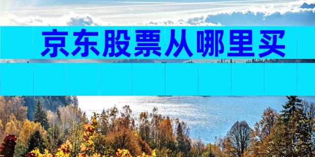京东股票从哪里买