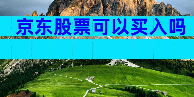 京东股票可以买入吗