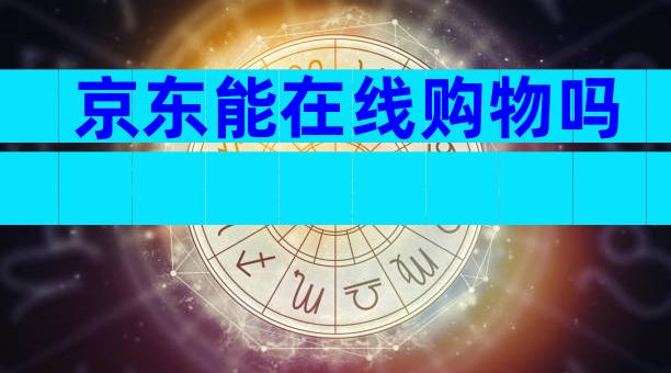 京东能在线购物吗