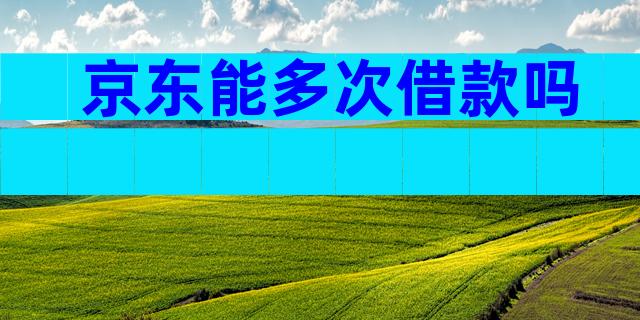 京东能多次借款吗