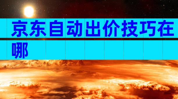 京东自动出价技巧在哪