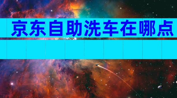 京东自助洗车在哪点