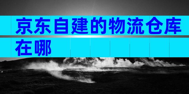京东自建的物流仓库在哪