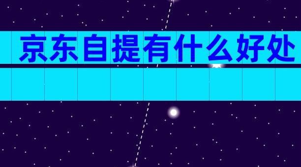 京东自提有什么好处