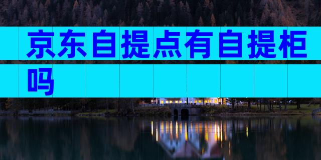 京东自提点有自提柜吗