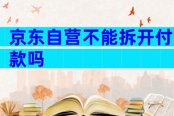 京东自营不能拆开付款吗