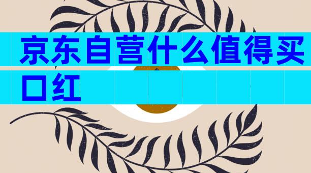 京东自营什么值得买口红