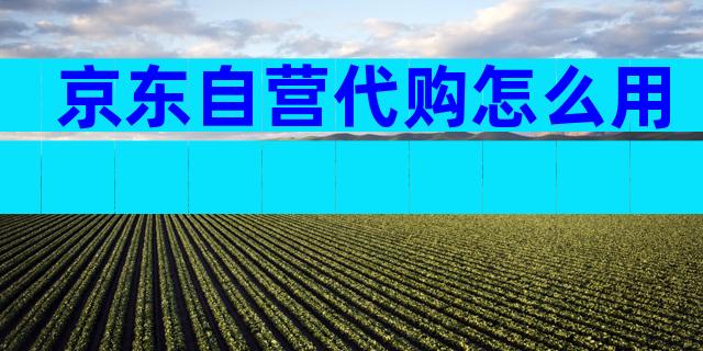 京东自营代购怎么用