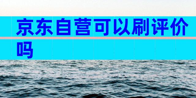 京东自营可以刷评价吗