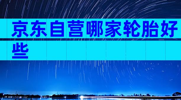 京东自营哪家轮胎好些