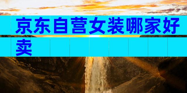 京东自营女装哪家好卖