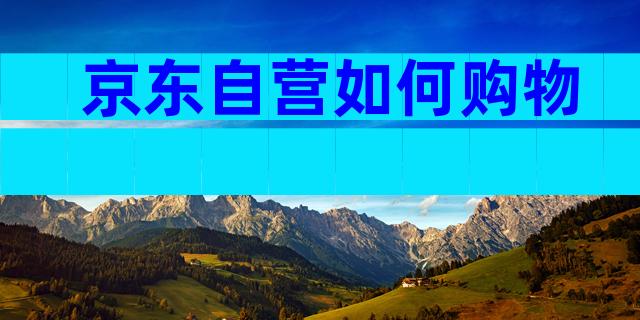 京东自营如何购物