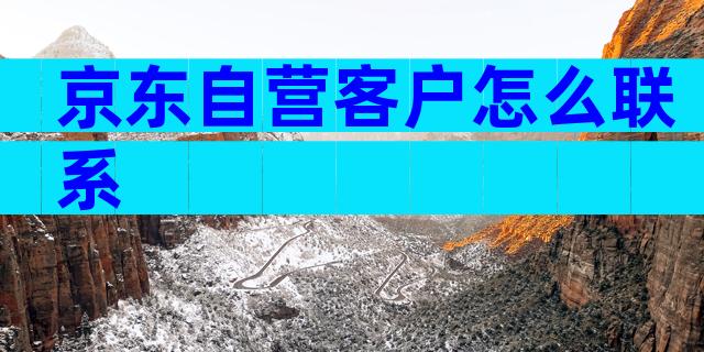 京东自营客户怎么联系