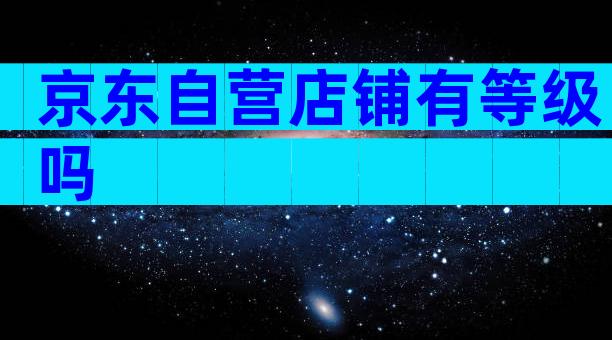 京东自营店铺有等级吗