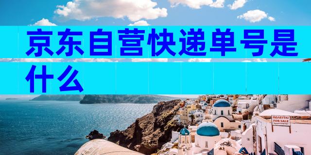 京东自营快递单号是什么