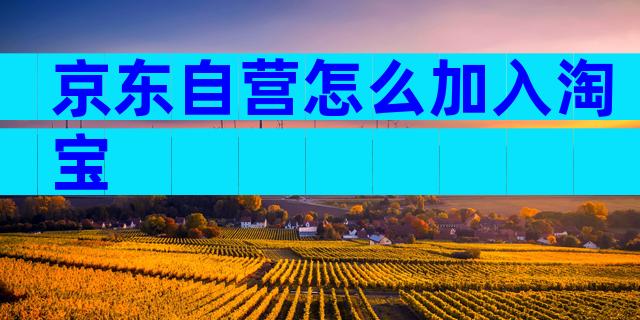 京东自营怎么加入淘宝