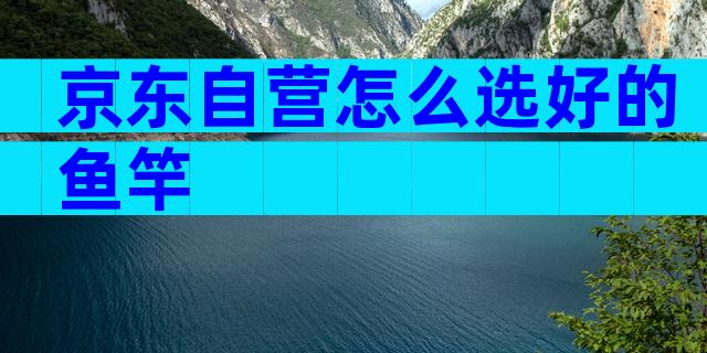 京东自营怎么选好的鱼竿