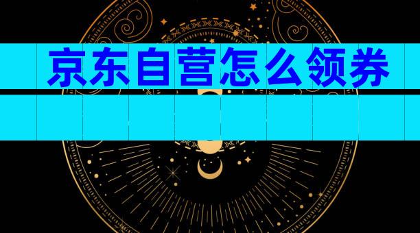 京东自营怎么领券