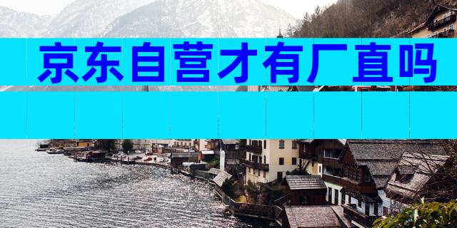 京东自营才有厂直吗