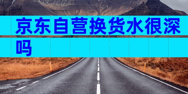 京东自营换货水很深吗