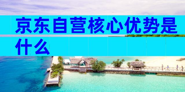 京东自营核心优势是什么