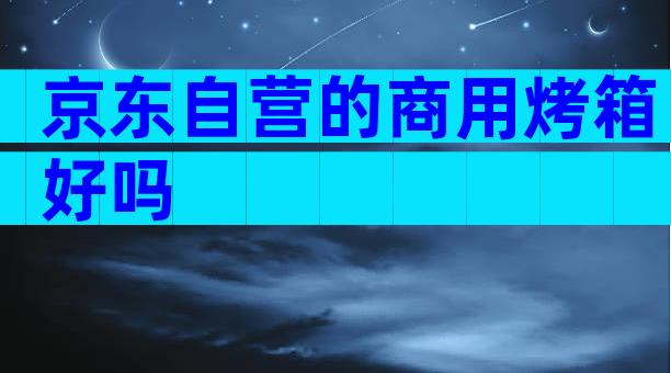 京东自营的商用烤箱好吗