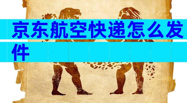 京东航空快递怎么发件