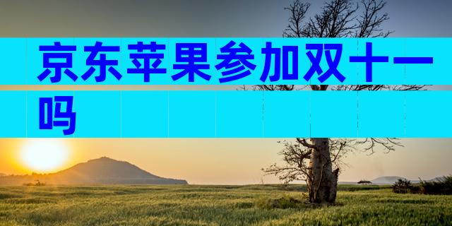 京东苹果参加双十一吗