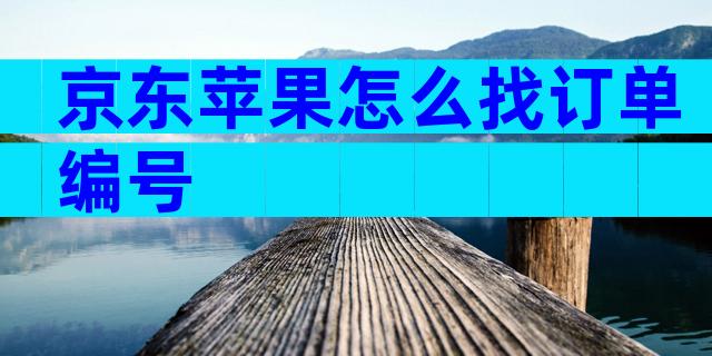 京东苹果怎么找订单编号