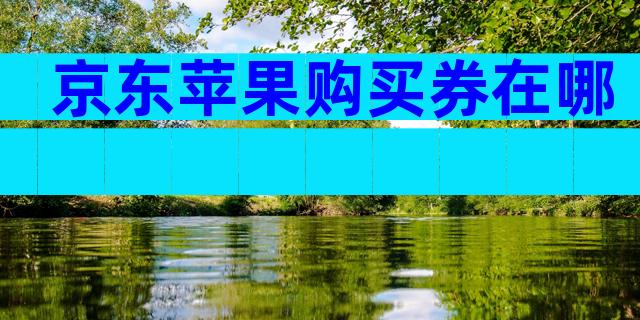 京东苹果购买券在哪