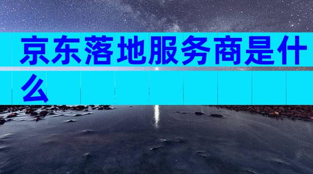 京东落地服务商是什么