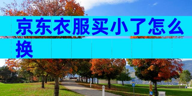 京东衣服买小了怎么换