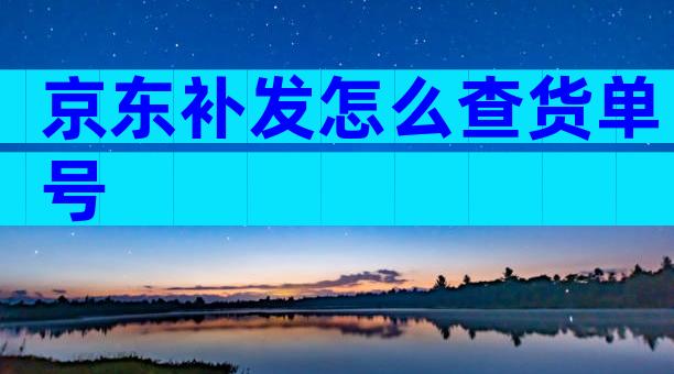 京东补发怎么查货单号