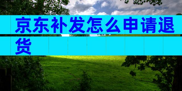 京东补发怎么申请退货