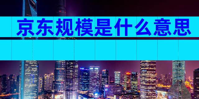 京东规模是什么意思