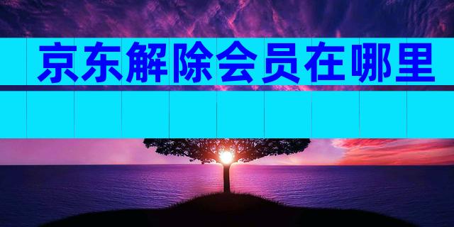 京东解除会员在哪里