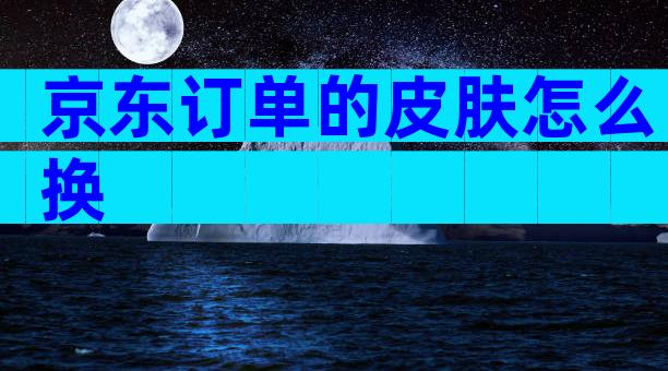 京东订单的皮肤怎么换