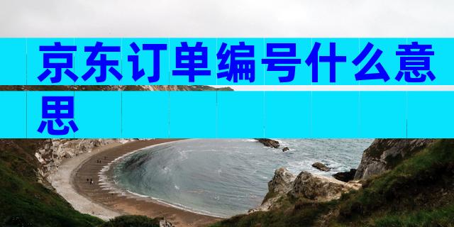 京东订单编号什么意思