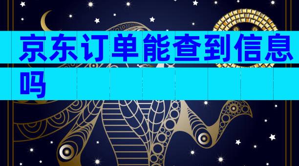 京东订单能查到信息吗