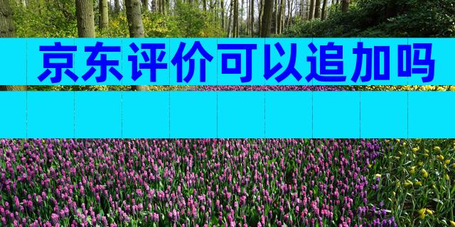 京东评价可以追加吗