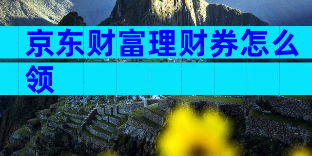 京东财富理财券怎么领