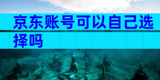 京东账号可以自己选择吗