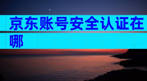 京东账号安全认证在哪