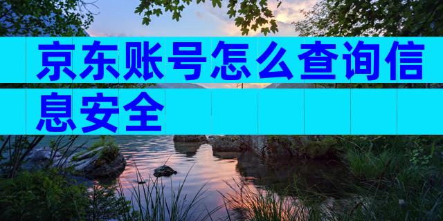 京东账号怎么查询信息安全