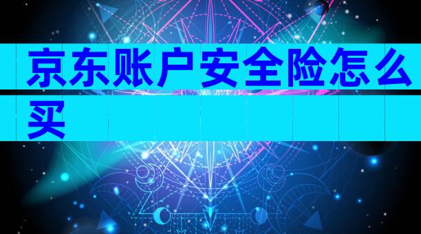 京东账户安全险怎么买