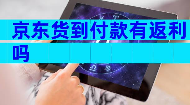 京东货到付款有返利吗