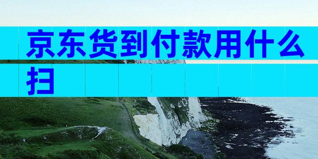 京东货到付款用什么扫