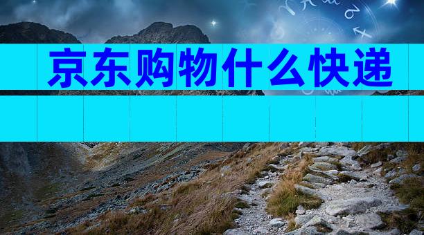 京东购物什么快递