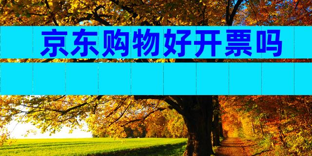 京东购物好开票吗